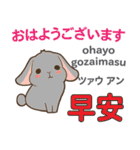 ウサギの気持ち 日本語台湾語（個別スタンプ：1）