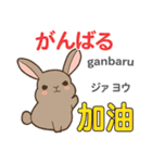 ウサギの気持ち 日本語台湾語（個別スタンプ：2）