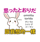 ウサギの気持ち 日本語台湾語（個別スタンプ：16）