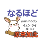 ウサギの気持ち 日本語台湾語（個別スタンプ：17）