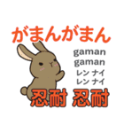 ウサギの気持ち 日本語台湾語（個別スタンプ：30）