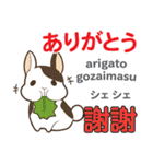 ウサギの気持ち 日本語台湾語（個別スタンプ：31）