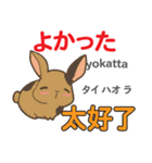 ウサギの気持ち 日本語台湾語（個別スタンプ：36）