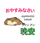 ウサギの気持ち 日本語台湾語（個別スタンプ：40）