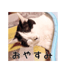 ふくちゃびん（個別スタンプ：4）