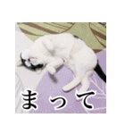 ふくちゃびん（個別スタンプ：9）