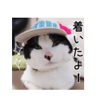 ふくちゃびん（個別スタンプ：10）
