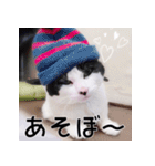 ふくちゃびん（個別スタンプ：11）