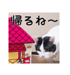 ふくちゃびん（個別スタンプ：14）