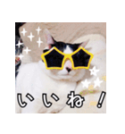 ふくちゃびん（個別スタンプ：18）