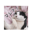 ふくちゃびん（個別スタンプ：24）
