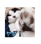 ふくちゃびん（個別スタンプ：32）