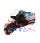 強気なわんにゃん（個別スタンプ：12）