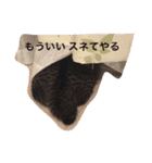 うずとたび ときどきひじき（個別スタンプ：2）