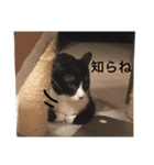 うずとたび ときどきひじき（個別スタンプ：9）