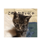 うずとたび ときどきひじき（個別スタンプ：10）