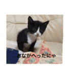 うずとたび ときどきひじき（個別スタンプ：11）