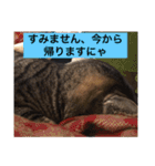 うずとたび ときどきひじき（個別スタンプ：16）
