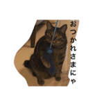 うずとたび ときどきひじき（個別スタンプ：32）