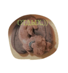 Couture#Russian（個別スタンプ：2）