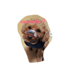 Couture#Russian（個別スタンプ：7）