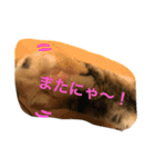 neko.neko（個別スタンプ：4）