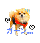 NOAスタンプ（個別スタンプ：1）