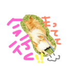 NOAスタンプ（個別スタンプ：13）