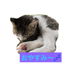 ナギスタンプ（個別スタンプ：2）