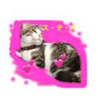 ナギスタンプ（個別スタンプ：6）