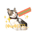 ナギスタンプ（個別スタンプ：7）