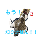 ナギスタンプ（個別スタンプ：8）