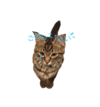 ティナ祝1歳（個別スタンプ：3）