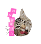 ティナ祝1歳（個別スタンプ：7）