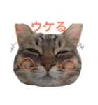 ティナ祝1歳（個別スタンプ：14）