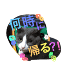 kai＆mio（個別スタンプ：14）