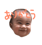 こうちゃんスタンプ2（個別スタンプ：1）