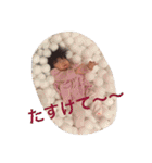 ゆあ_ゆあ_ゆあ（個別スタンプ：11）