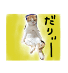 ちゃちゃ丸の日常（個別スタンプ：6）