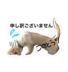 ソロくんSTAMP（個別スタンプ：1）