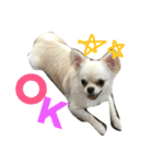 ソロくんSTAMP（個別スタンプ：3）