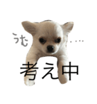 ソロくんSTAMP（個別スタンプ：4）