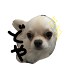 ソロくんSTAMP（個別スタンプ：7）