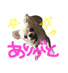 ソロくんSTAMP（個別スタンプ：8）