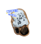 DAIsUKis2chu（個別スタンプ：12）