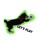 柴犬くーちゃん（個別スタンプ：4）