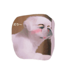 きゅーたんスタンプ（個別スタンプ：6）
