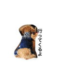 wanwanPoodleciwapoo2（個別スタンプ：7）