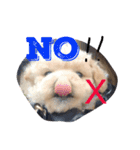 wanwanPoodleciwapoo2（個別スタンプ：16）