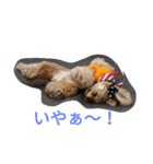 ヴィビスタンプ（個別スタンプ：4）
